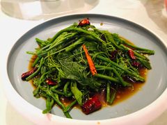 椒汁丝瓜尖-香浙汇(望京店)