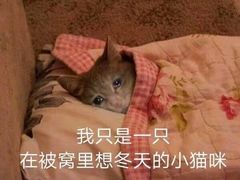 -青春分食(仙林大学城店)