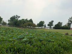 -滆湖低碳生态公园