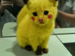 -仟吉KenGee(21世纪店)