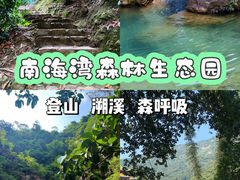-南海湾森林生态园