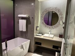 -南京禄口机场雅高铂尔曼大酒店