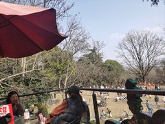 -鸡鸣汤包(红山动物园店)