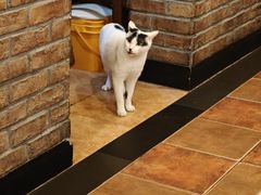 -维吾尔餐厅(宜山路店)