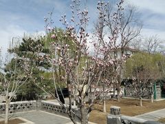 -西海子公园