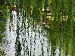 -环城公园
