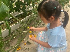 -北戴河集发农业梦想王国