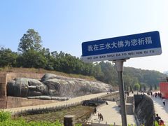 -三水森林公园