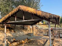 -北京鹿世界主题园