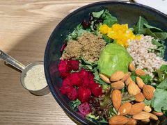 芥子酱羽翼甘蓝沙拉-小大董·烤鸭(凤凰汇店)