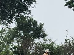 -青岛银沙滩温德姆至尊酒店