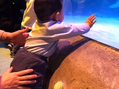 -沈阳海洋探索中心