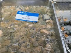 -鹰龙海畔度假酒店(咸祥店)