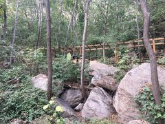-大岭沟猕猴桃谷风景区