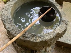 -100蛋泥浆浴