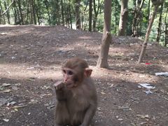 -黔灵山公园