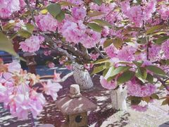 -石岛赤山风景区