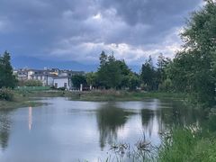 -才村湿地公园