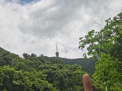 -梧桐山风景名胜区