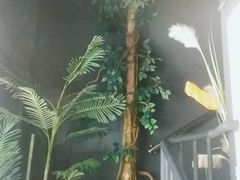 -百玺足道(柳沙店)