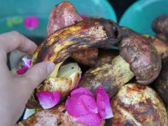 苍洱春饭店8-苍洱春饭店