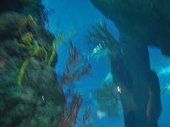 -广东省拱北口岸中国旅行社(华宾营业部)