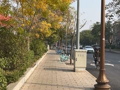 -天津五大道文化旅游区