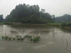 -一品烧农庄·佛山本地菜(西岸店)