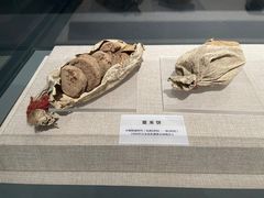 -巴音郭楞蒙古自治州博物馆