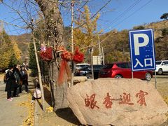 -遵化市禅林寺古银杏风景园