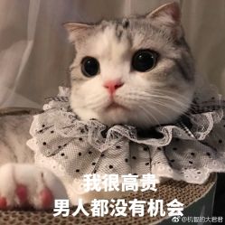 点击看大图 -艺之剪