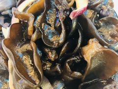 -上海新锦江大酒店