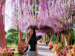 -揭东万竹园旅游景区