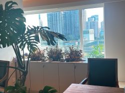 -芳香乐府疗愈空间·SPA·冥想