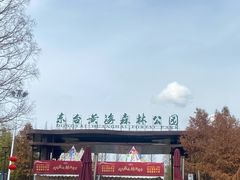 -黄海国家森林公园