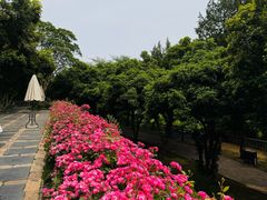 -无锡梅园公园