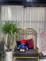 -素颜秀·纹眉·野生眉·纹唇半永久