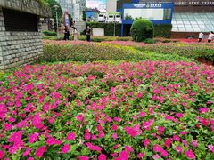 -观音桥步行街
