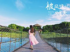 -荷塘月色湿地公园·向阳花洲