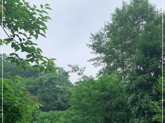 -都江堰中华大熊猫苑