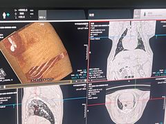 -喜多萌中农锦绣动物医院24H·猫科·牙科MRI·CT