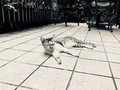 -默迹咖啡馆