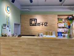-猫十亿·布偶金渐层·曼基康矮脚猫舍(青年路店)