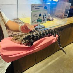 -Zoolung Zoolung动物主题公园(海信广场店)