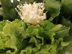 -贵州大厦贵州厅(樱花园西街店)