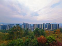 -东山公园