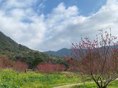 -广州市石门国家森林公园