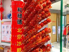 -和禄德冰糖葫芦