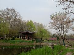 -堤角公园