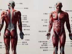 -通透堂中医·精准推拿(旗舰店)